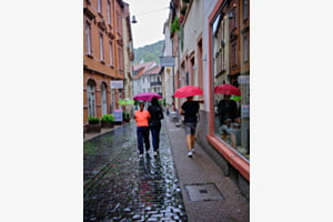 Im Regen Im Regen