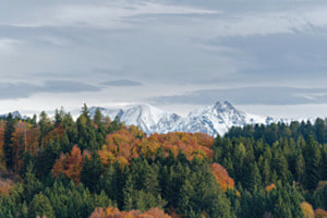 Föhniger Herbsttag