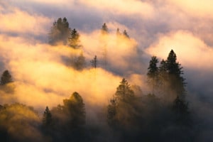 Morgensnebel