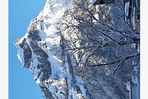 Winter Wonderland-Engelberg