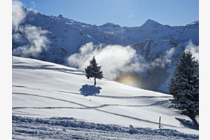 Winter Wonderland 