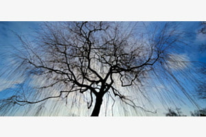 Look Up! Look Up!