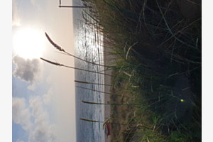 Sonnenuntergang auf Sylt