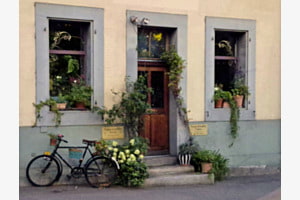 Stilleben