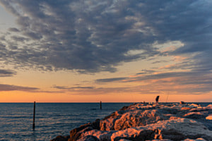 Fisherman
