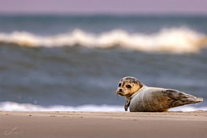 Morgens am Meer Morgens am Meer