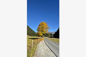 Herbstfarben