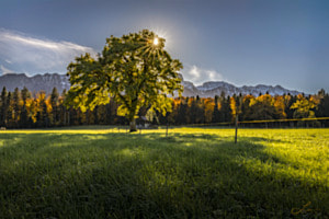Trotz dem Herbst!