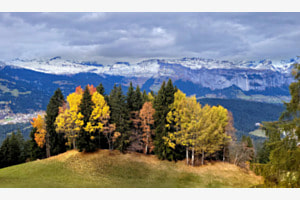 Surselva