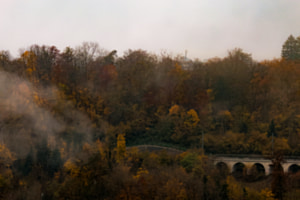 Herbstnebel