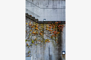 Herbstzauber