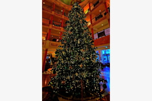 Endlich Weihnachten!