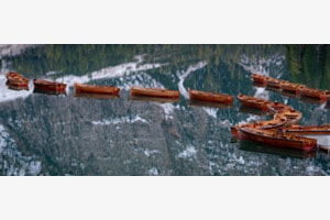 Boote