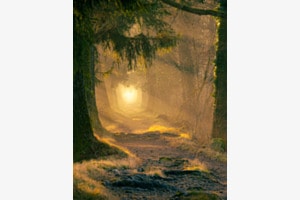 Der Weg