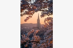 Bern