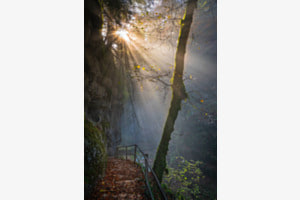 Sonne