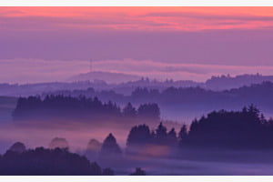 Early Morning 