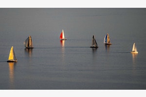 Regatta im Abendlicht