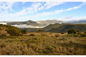 Die Süd-Afrikanische Karoo mit Morgennebel