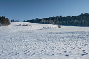 Winterliche Stille im Jura