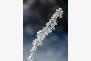 Kreativität des Winters