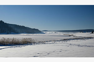 Vergnügen auf gefrorenem See