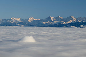 Konkurrenz im Nebelmeer