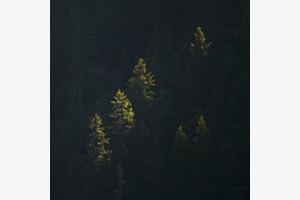 Whispers of Light