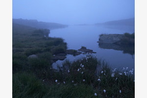 Kalter Morgen am Stellisee