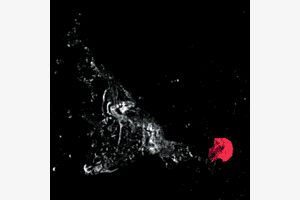 Splash - 2