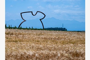 Natur und Kultur (und etwas Technologie)