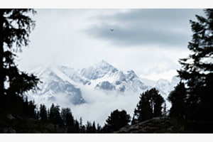 Schneeberge