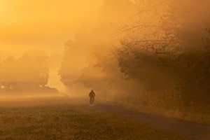 Durch Licht und Nebel