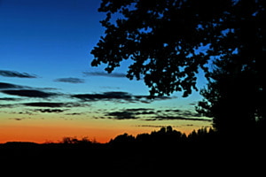 Zur blauen Stunde