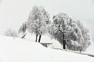 Im schönen Emmental