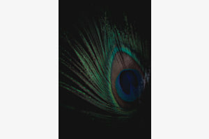 Green Eye
