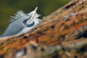 Wasserperle