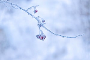 Eiszeit Eiszeit