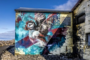 Street Art of Iceland 