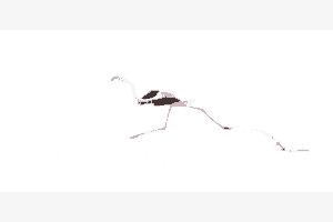 Abflug 