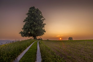 Speztakulärer Sonnenuntergang 
