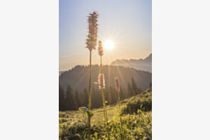 Sommerwanderung 