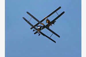 Kreuzflug