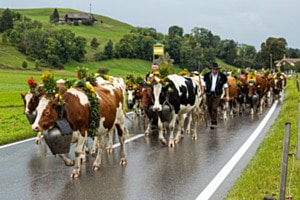 Alpabzug