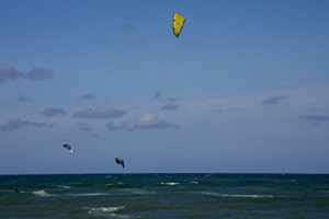 Fly with the Wind