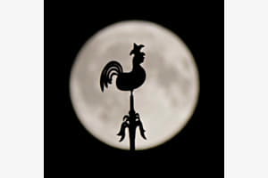 Vollmond 