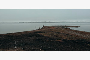 LANDZUNGE OBERER ZÜRCHERSEE