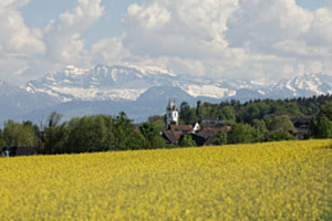 LANDSCHAFT MAUR