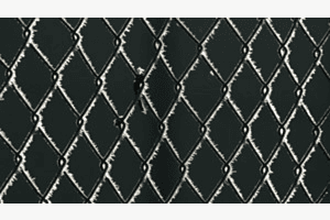 Icy fence