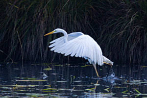 Abflug Abflug